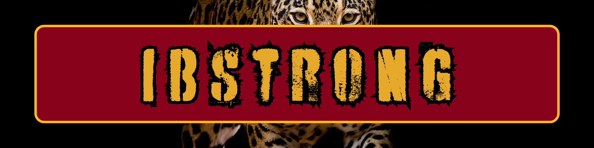 IBStrong Club